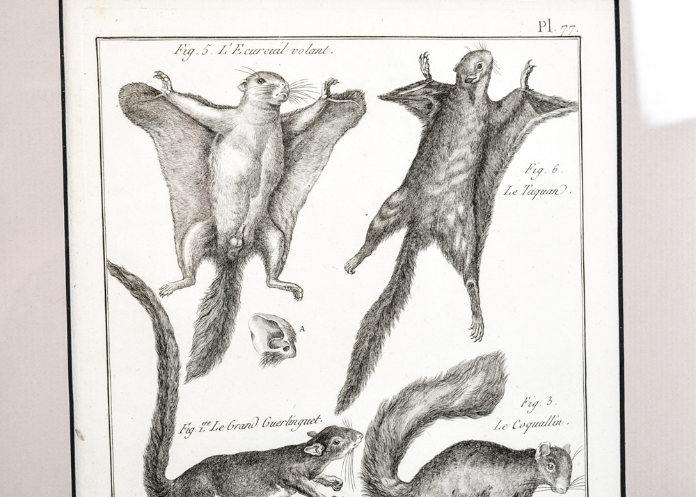 Duo of 18th Century Engravings