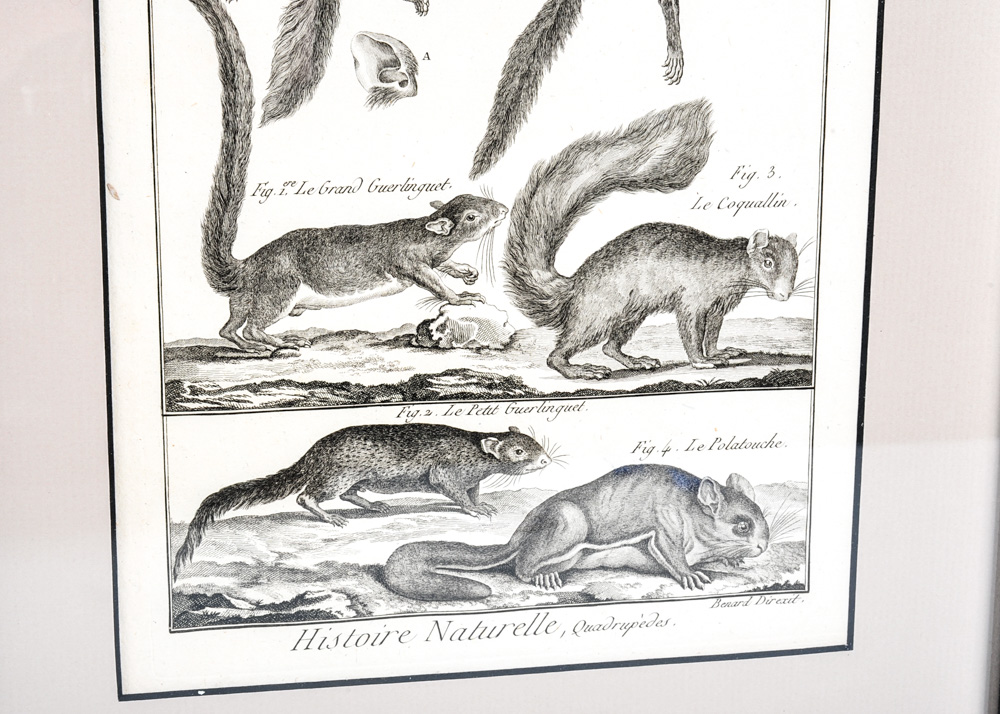 Duo of 18th Century Engravings