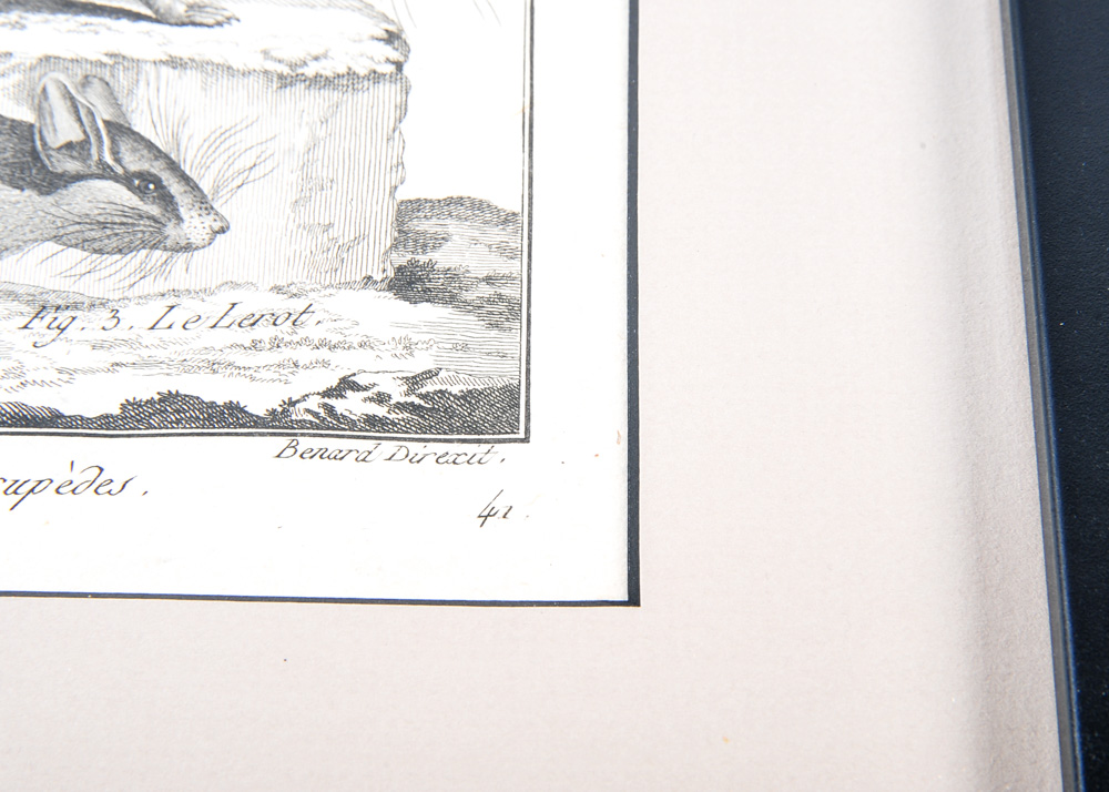 Duo of 18th Century Engravings