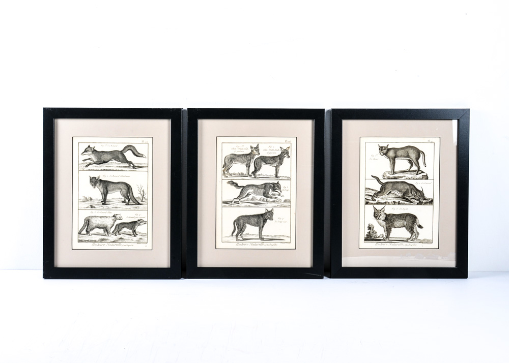 Trio of 18th Century Engravings