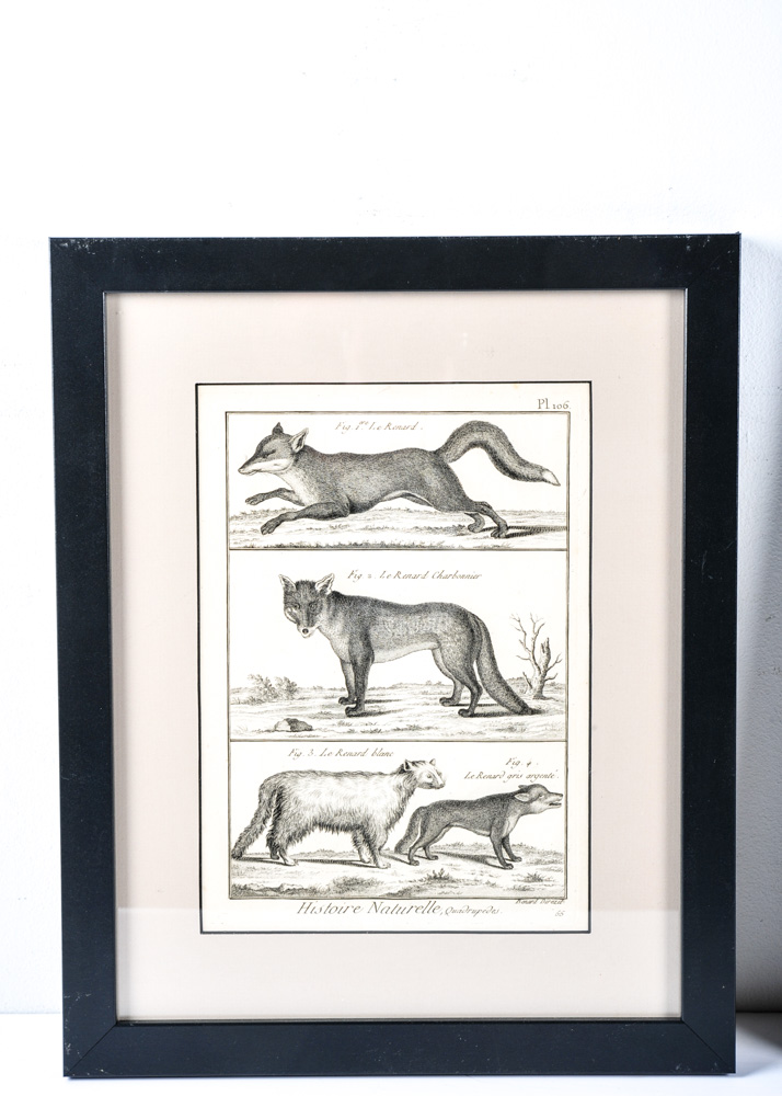 Trio of 18th Century Engravings