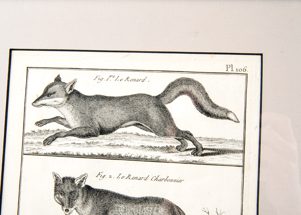 Trio of 18th Century Engravings