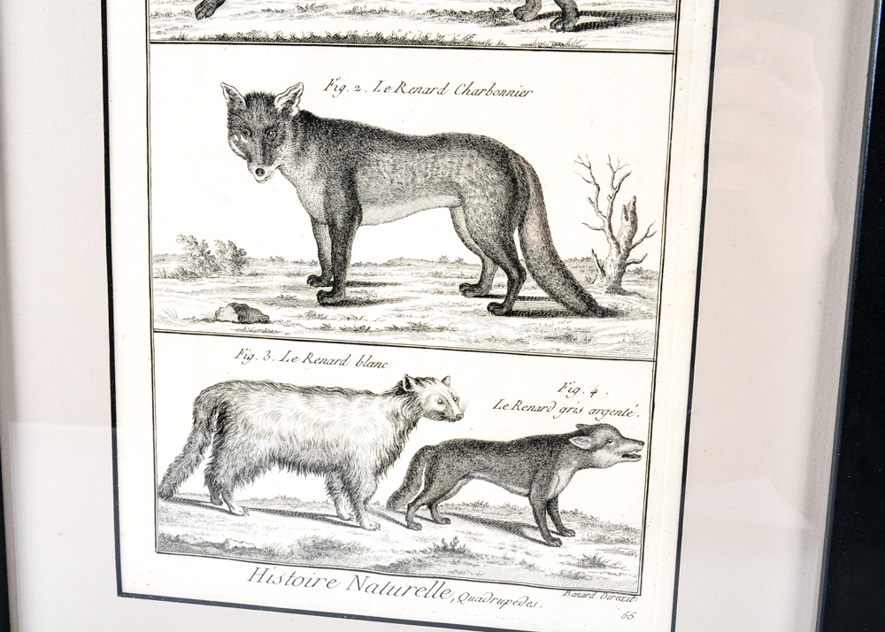 Trio of 18th Century Engravings