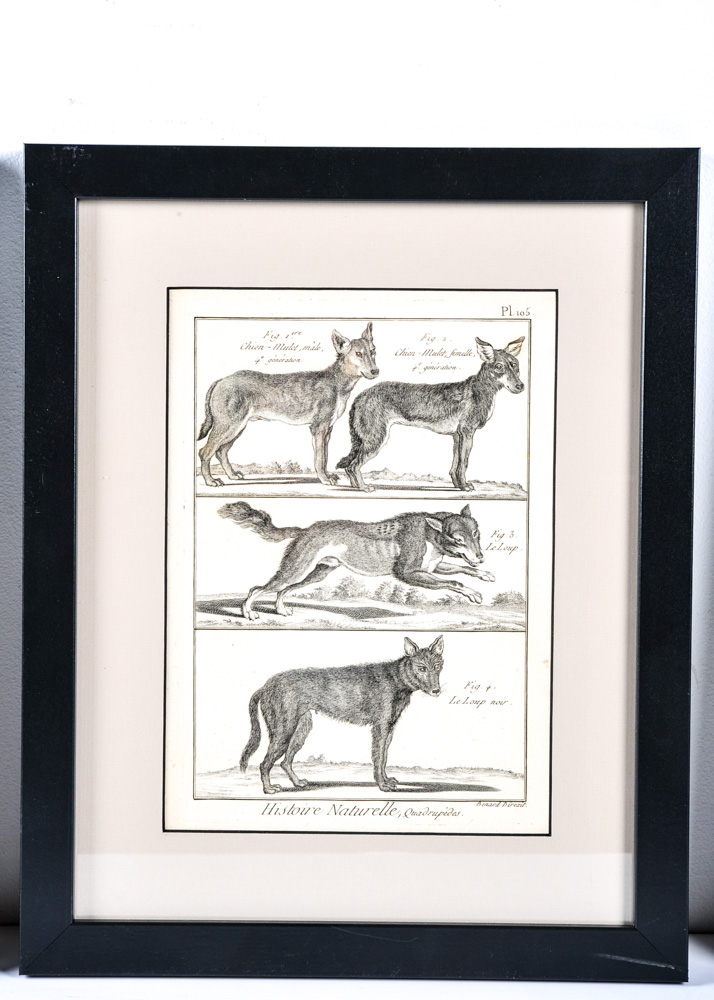 Trio of 18th Century Engravings