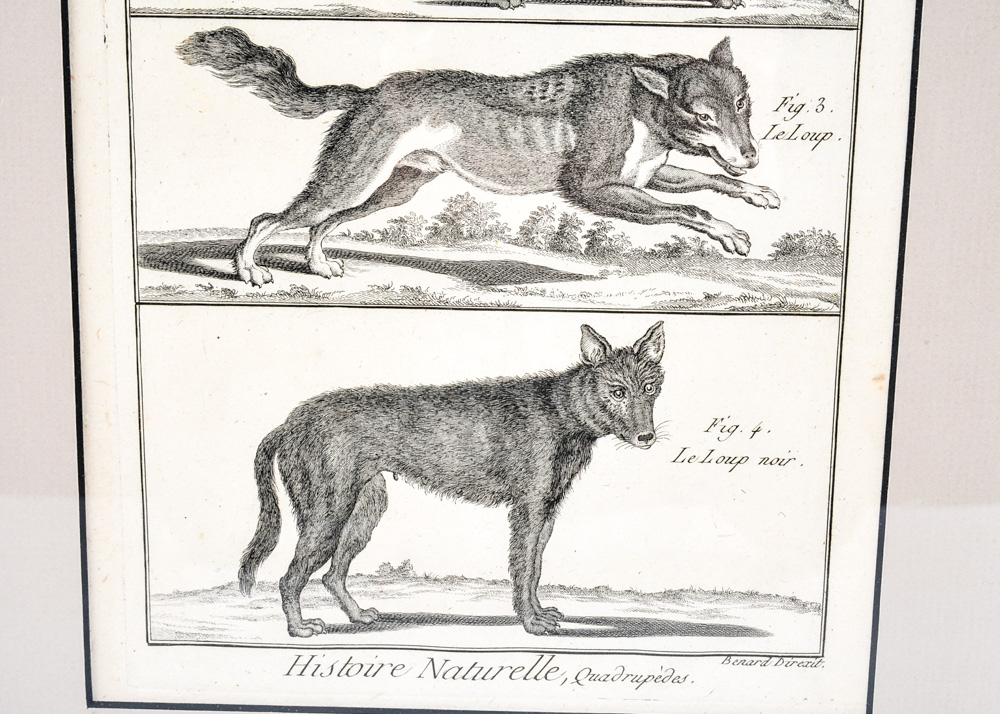 Trio of 18th Century Engravings