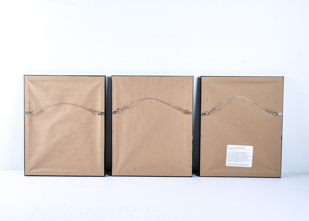 Trio of 18th Century Engravings