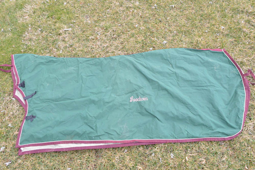 Pair of Horse Size Rain Sheets