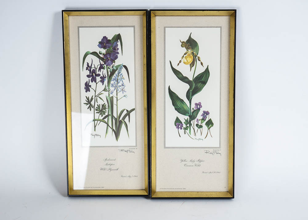 Ray Harm Floral Bouquet Offset Prints