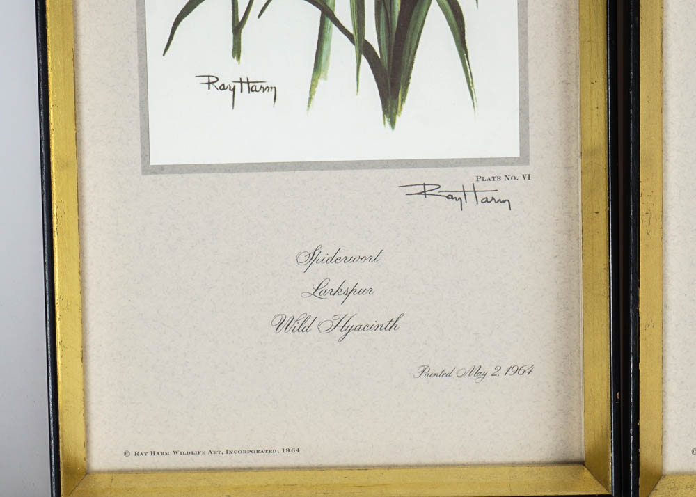 Ray Harm Floral Bouquet Offset Prints