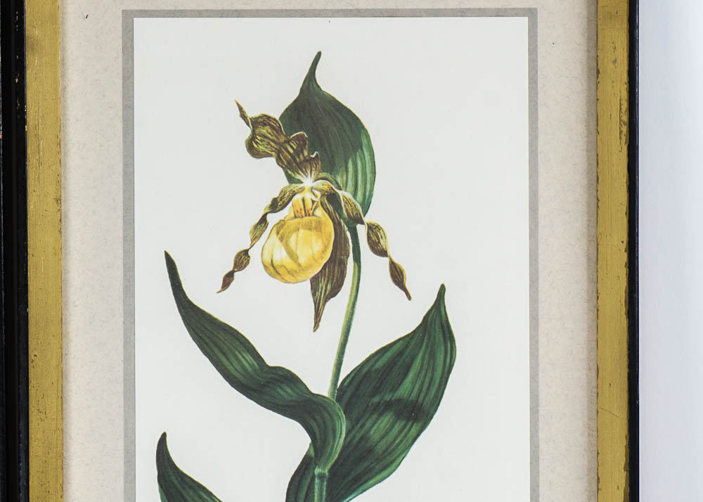 Ray Harm Floral Bouquet Offset Prints