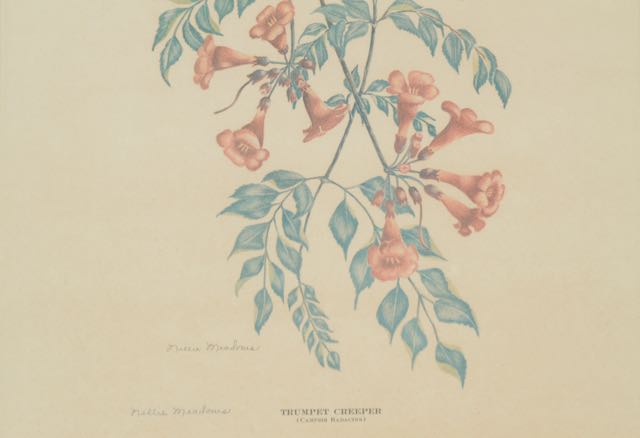 Signed and Numbered Nellie Meadows Prints