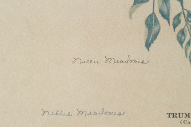 Signed and Numbered Nellie Meadows Prints
