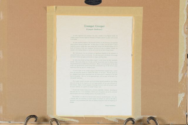 Signed and Numbered Nellie Meadows Prints