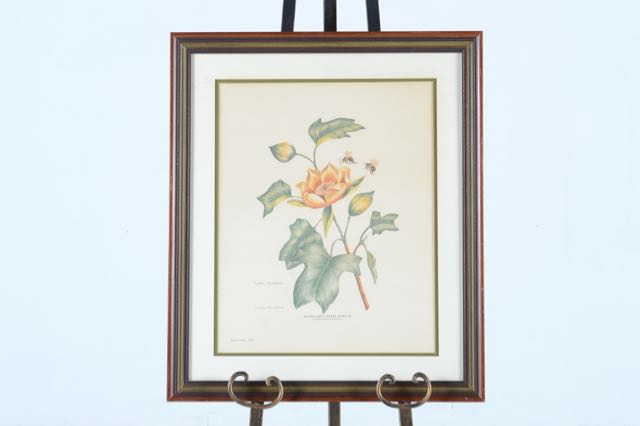 Signed and Numbered Nellie Meadows Prints