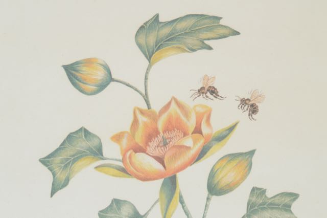 Signed and Numbered Nellie Meadows Prints