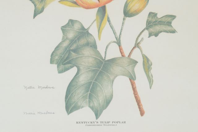 Signed and Numbered Nellie Meadows Prints