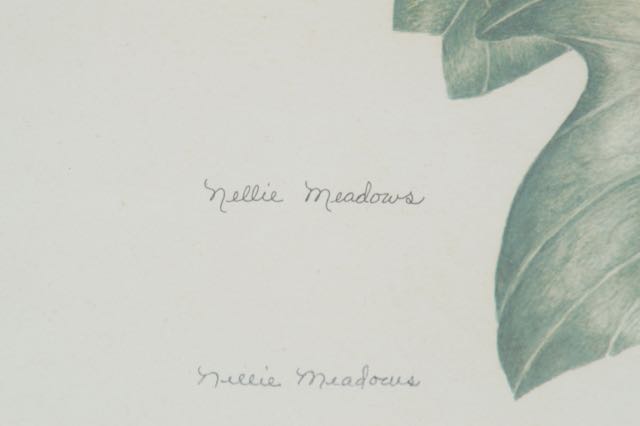 Signed and Numbered Nellie Meadows Prints