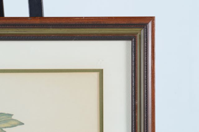 Signed and Numbered Nellie Meadows Prints