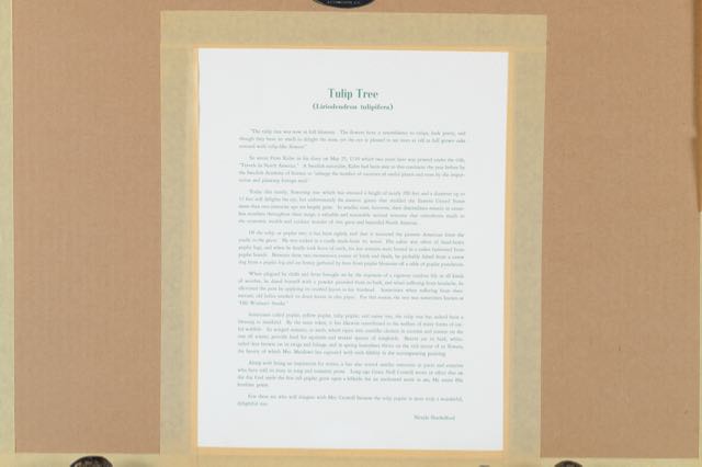 Signed and Numbered Nellie Meadows Prints