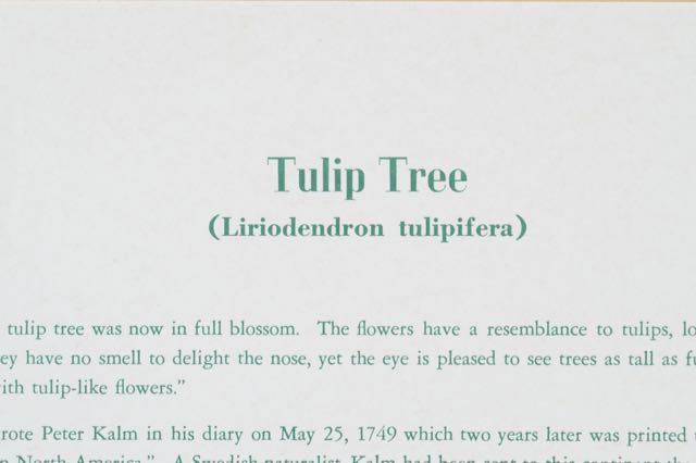 Signed and Numbered Nellie Meadows Prints