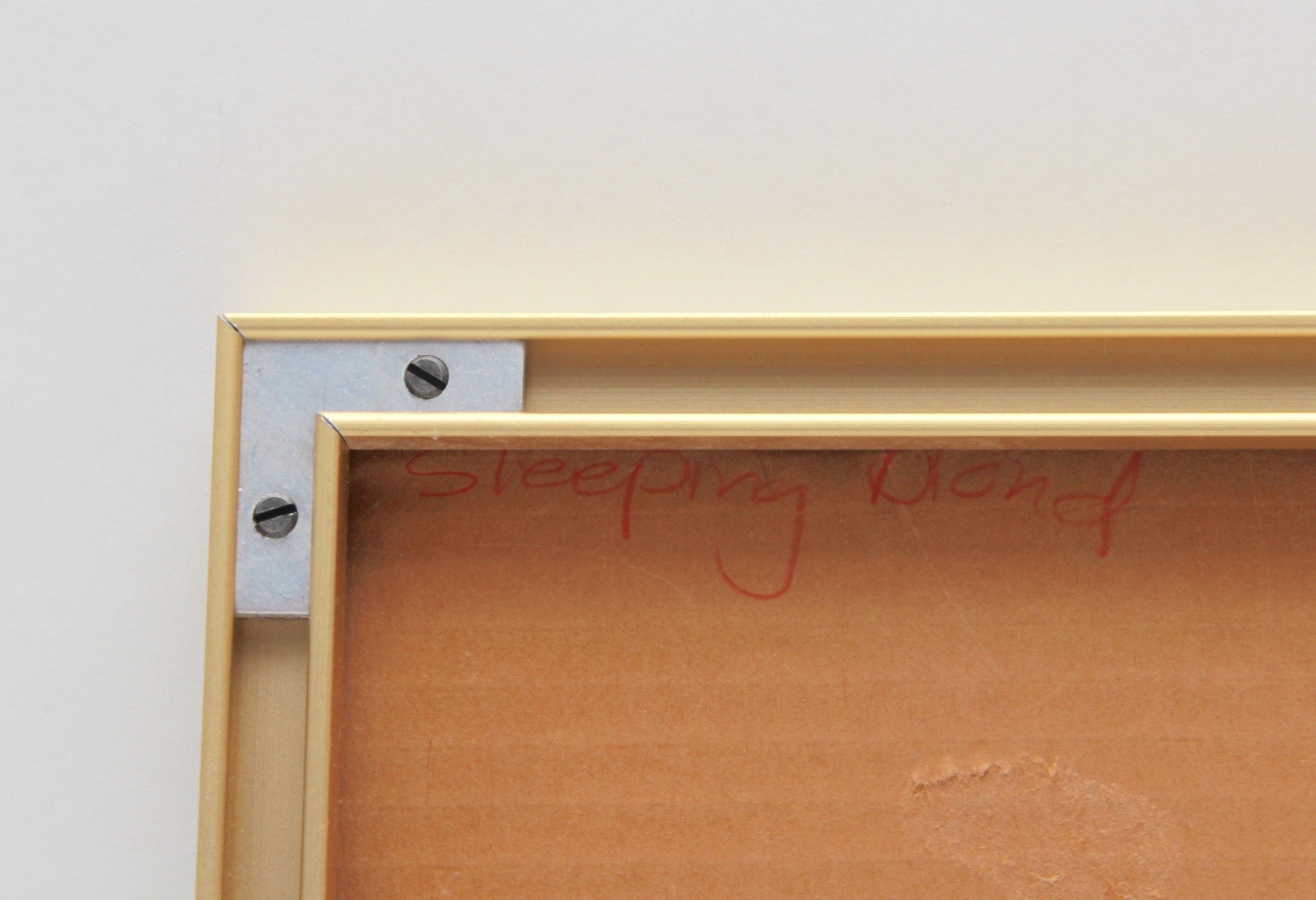 Signed Watercolor of Woman Sleeping with Cats by Teresa Farr