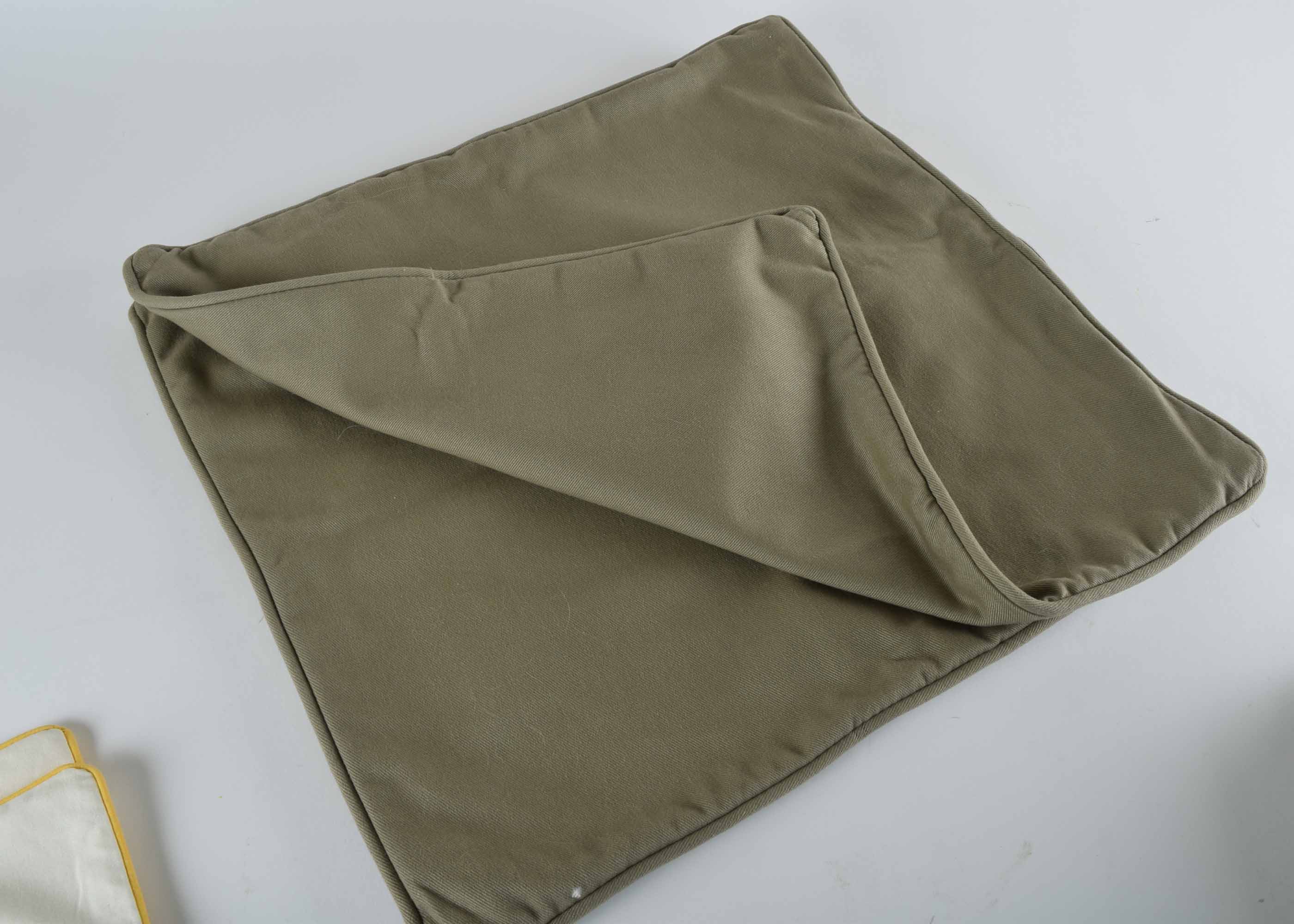 Pair of 18 X 18 Down Pillow Insert and Four Pairs Pottery Barn Pillow Covers