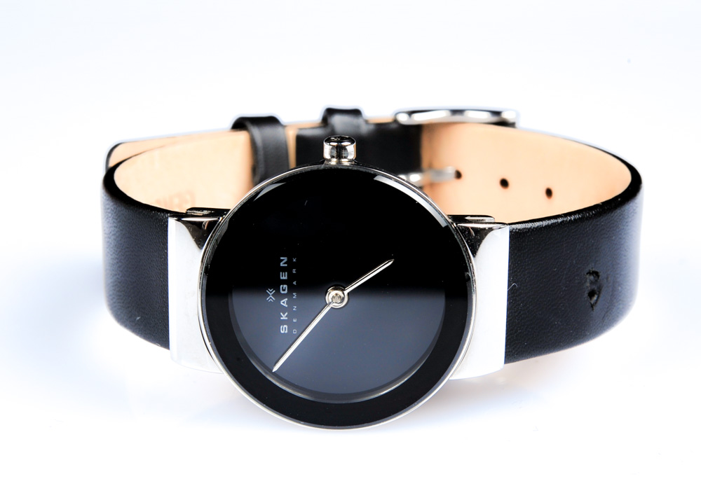 Skagen Denmark Watch