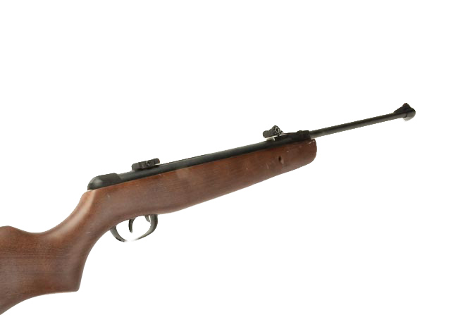 Gamo Hunter 220 Air Rifle