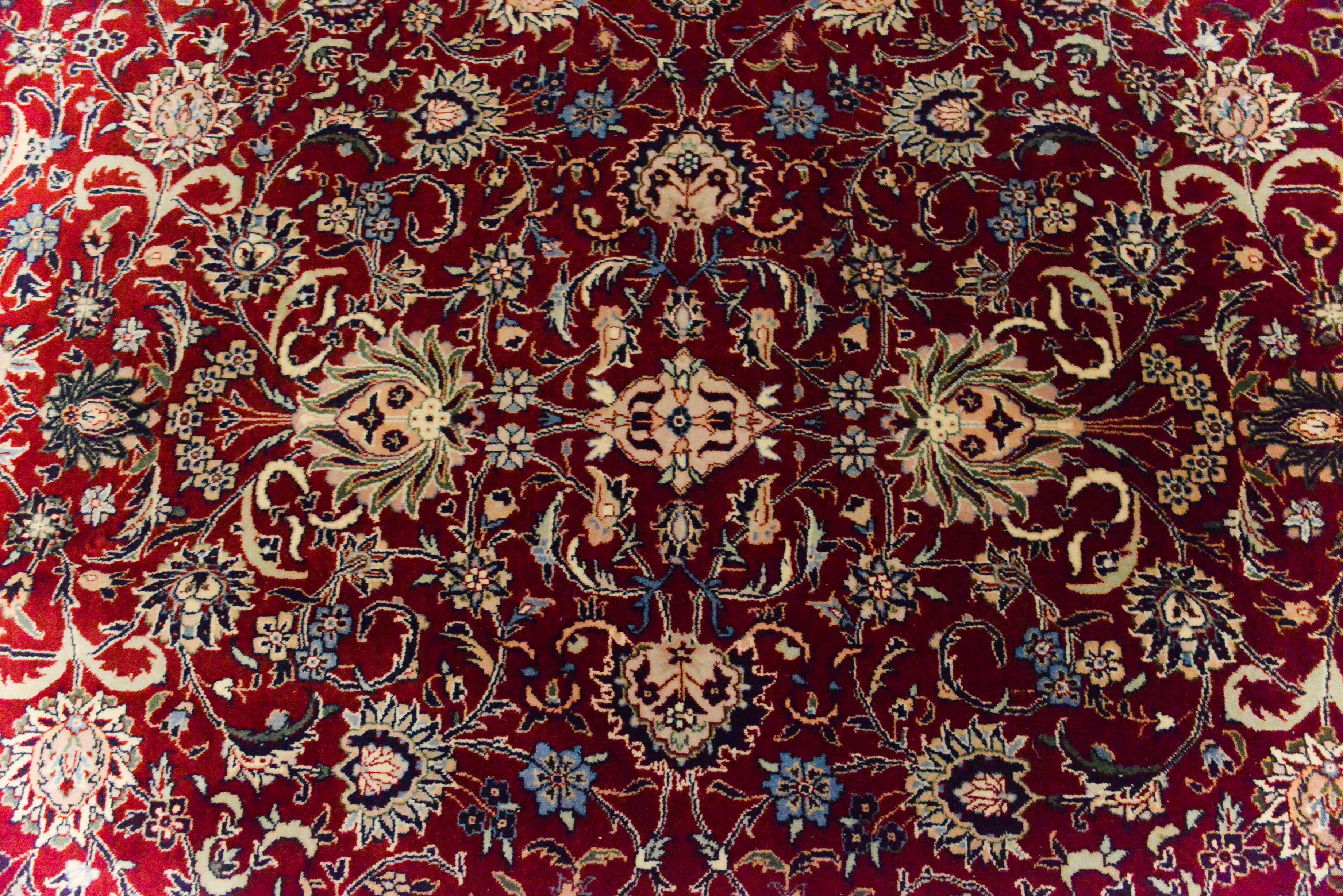 Persian Style Area Rug
