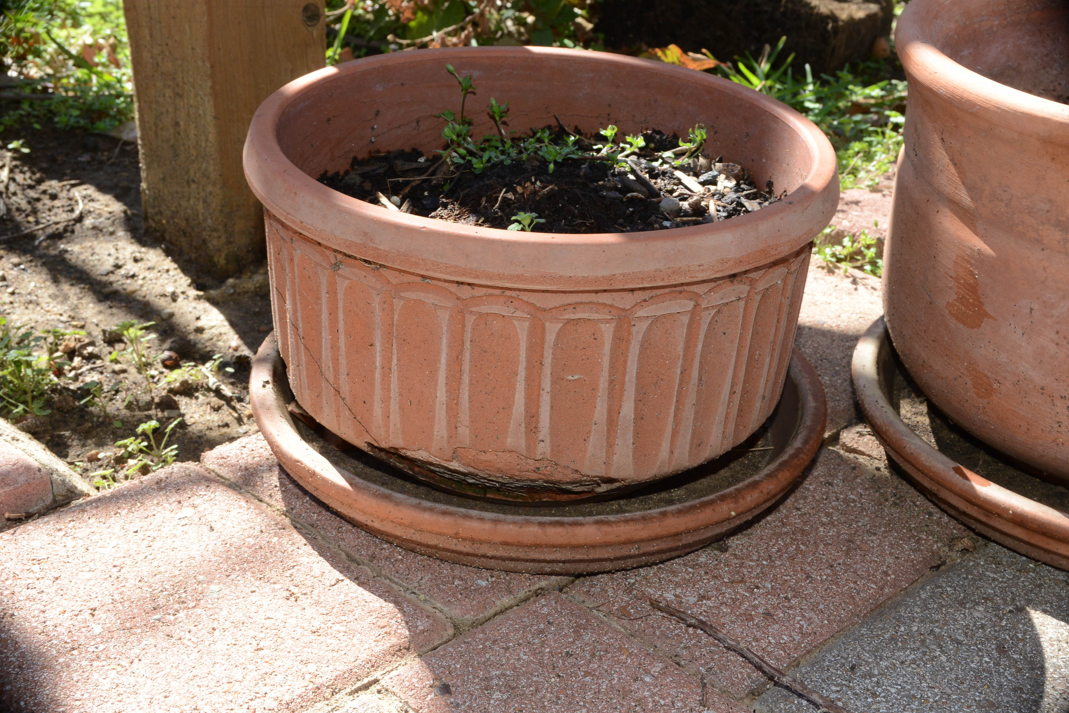 Terra Cotta Planters