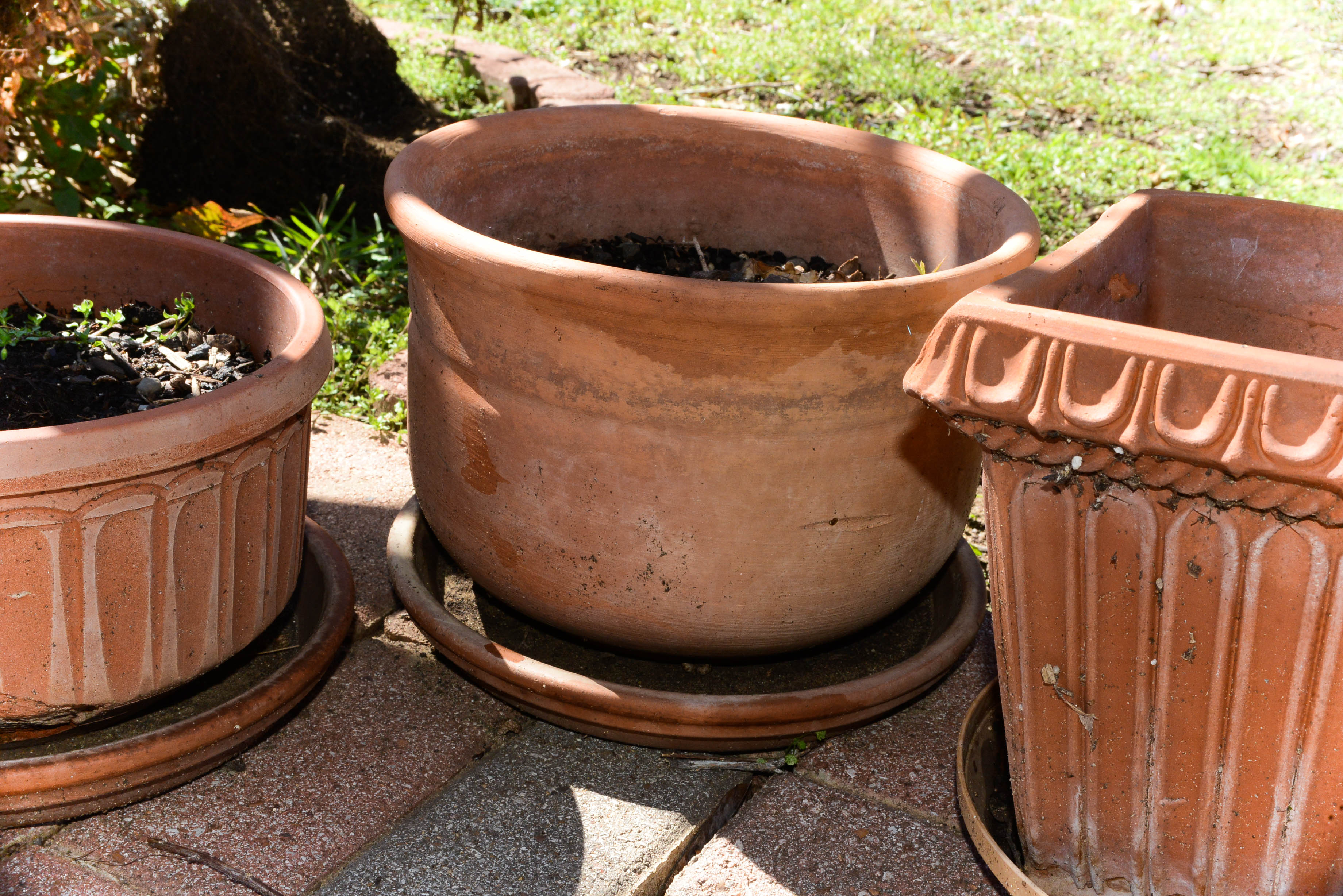 Terra Cotta Planters