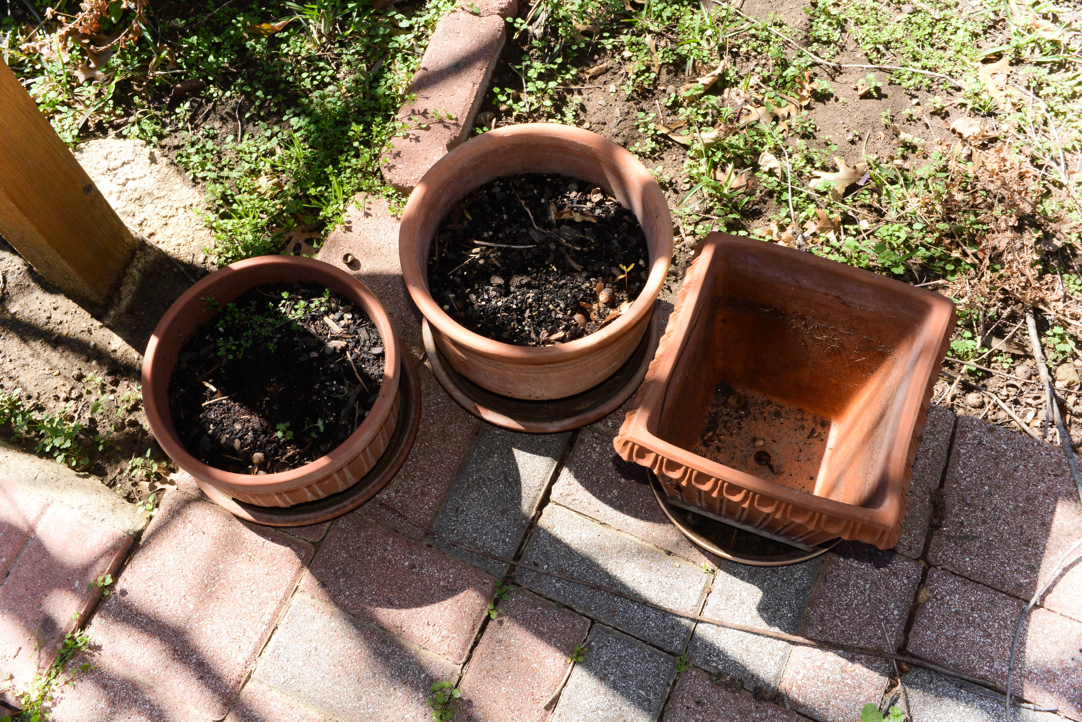 Terra Cotta Planters