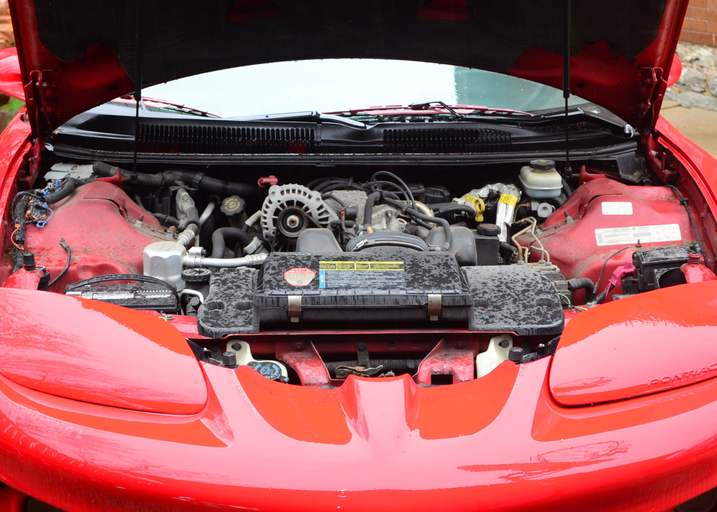 1998 3.8Liter V6 Red Pontiac Firebird