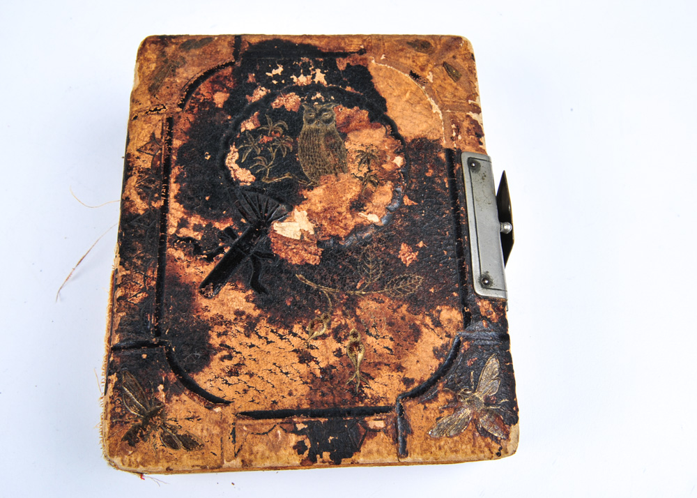 Collection of Antique Books and Photographs