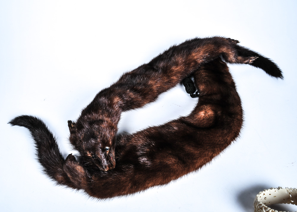 Mink Collar with Vintage and Costume Jewelry