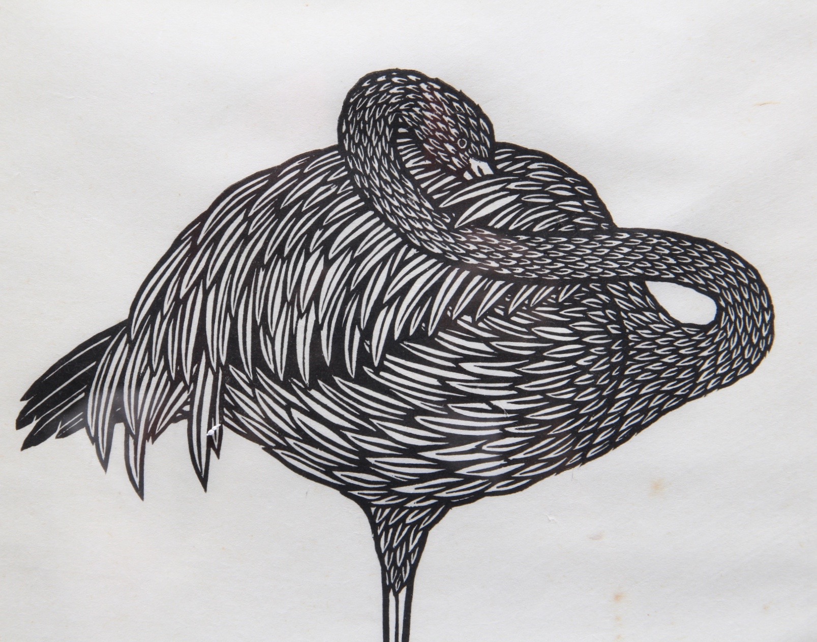 Limited Edition, 1970 Woodblock Print of "Flamingo" by Listed Artist, Jacques Hnizdovsky