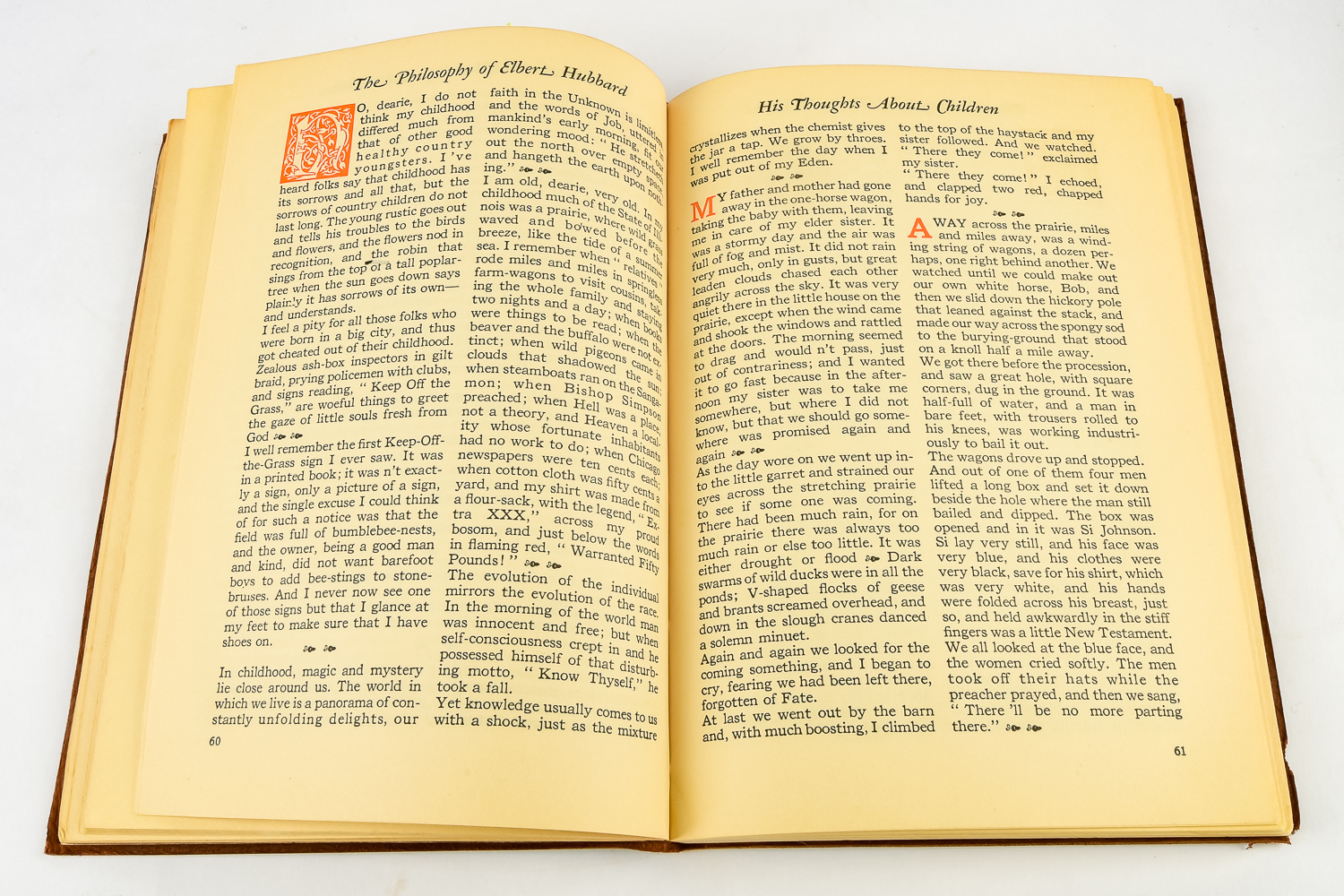 Selection of Vintage books.