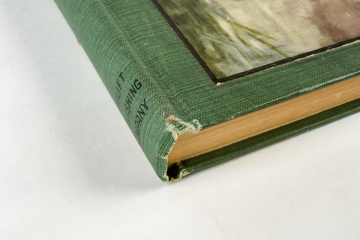 Selection of Vintage books.