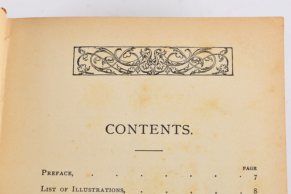 Late 19th Century Crime Detectionist Classics