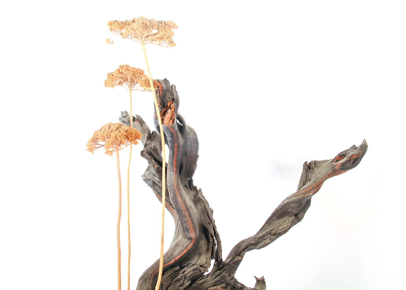 Birch Wood Candle Holder