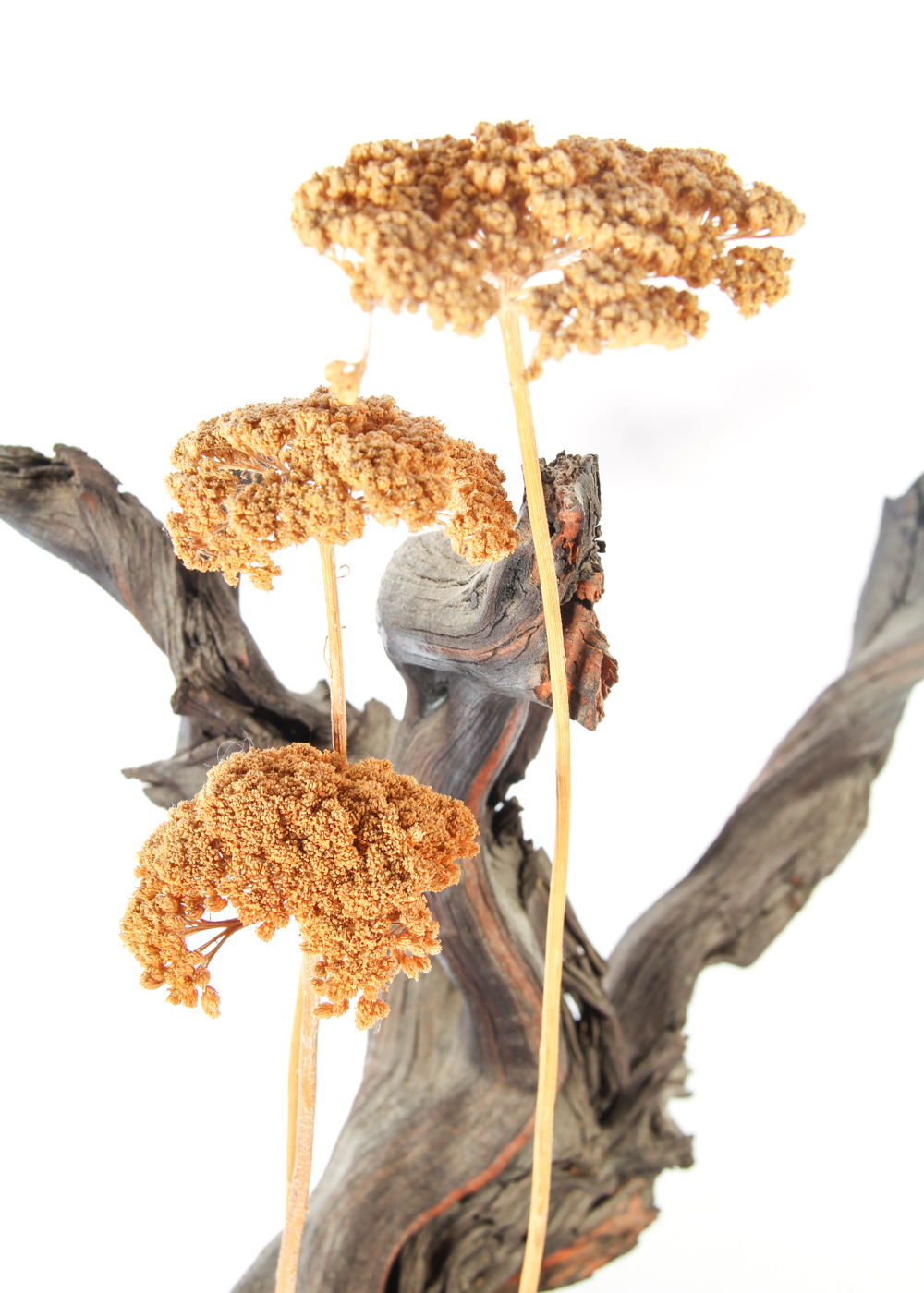 Birch Wood Candle Holder