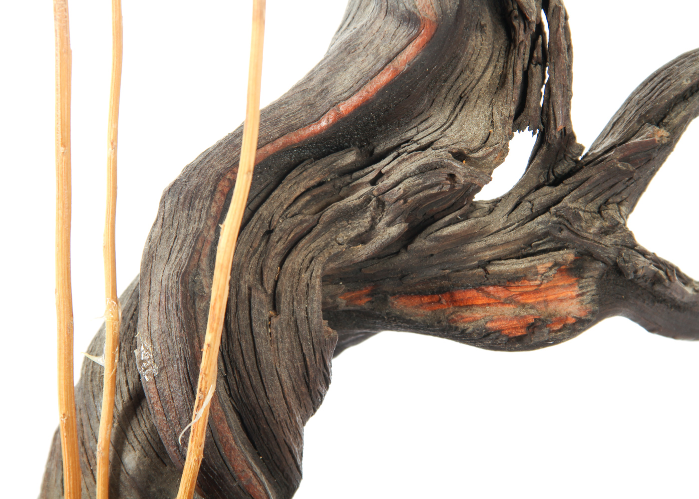 Birch Wood Candle Holder