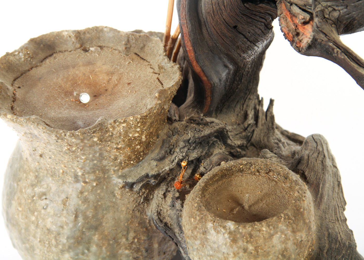 Birch Wood Candle Holder