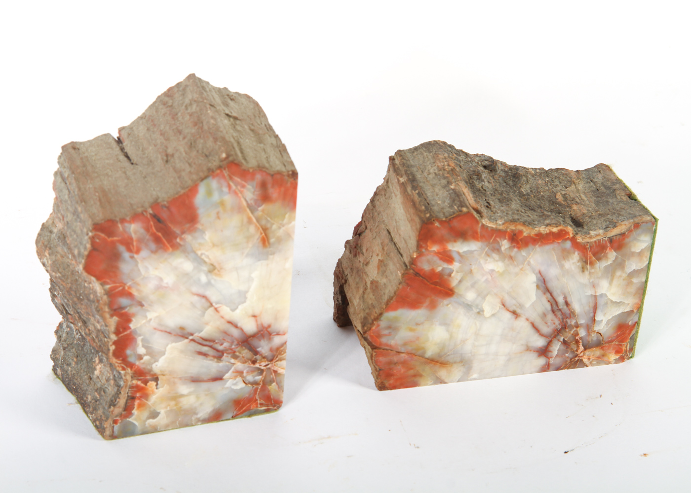 Pair of Petrified Wood Book Ends