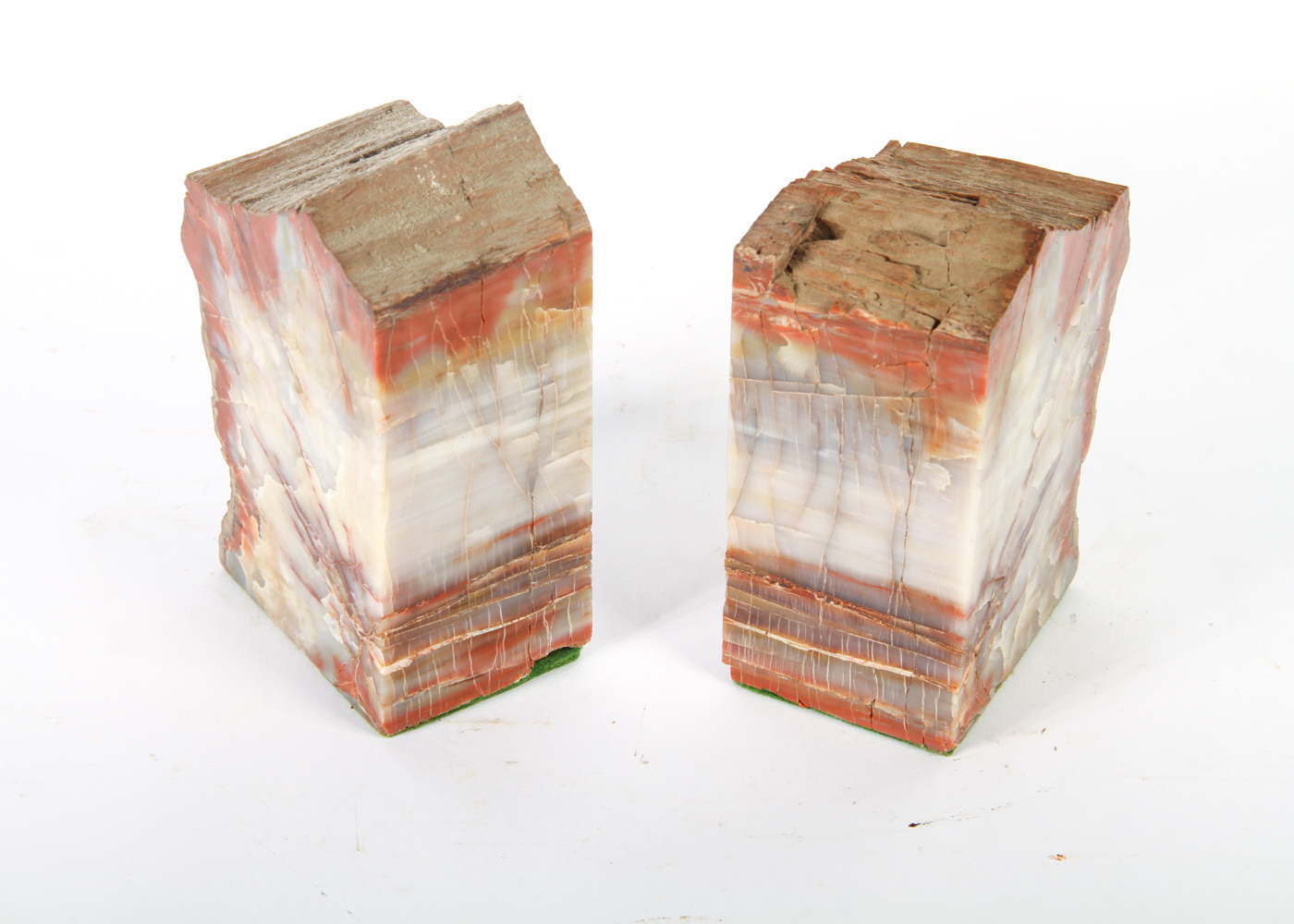 Pair of Petrified Wood Book Ends