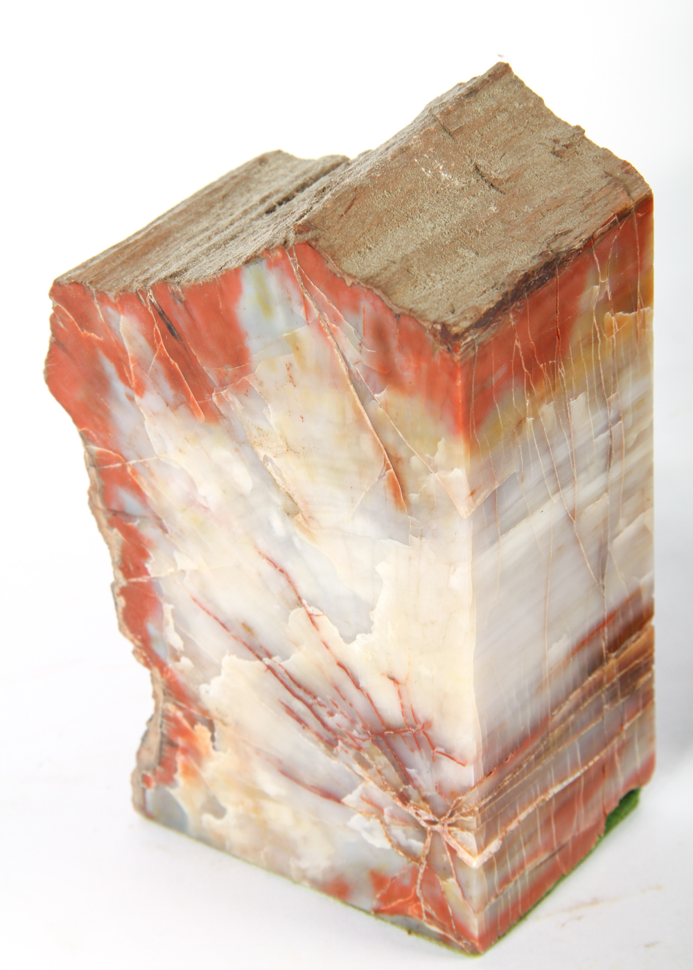 Pair of Petrified Wood Book Ends