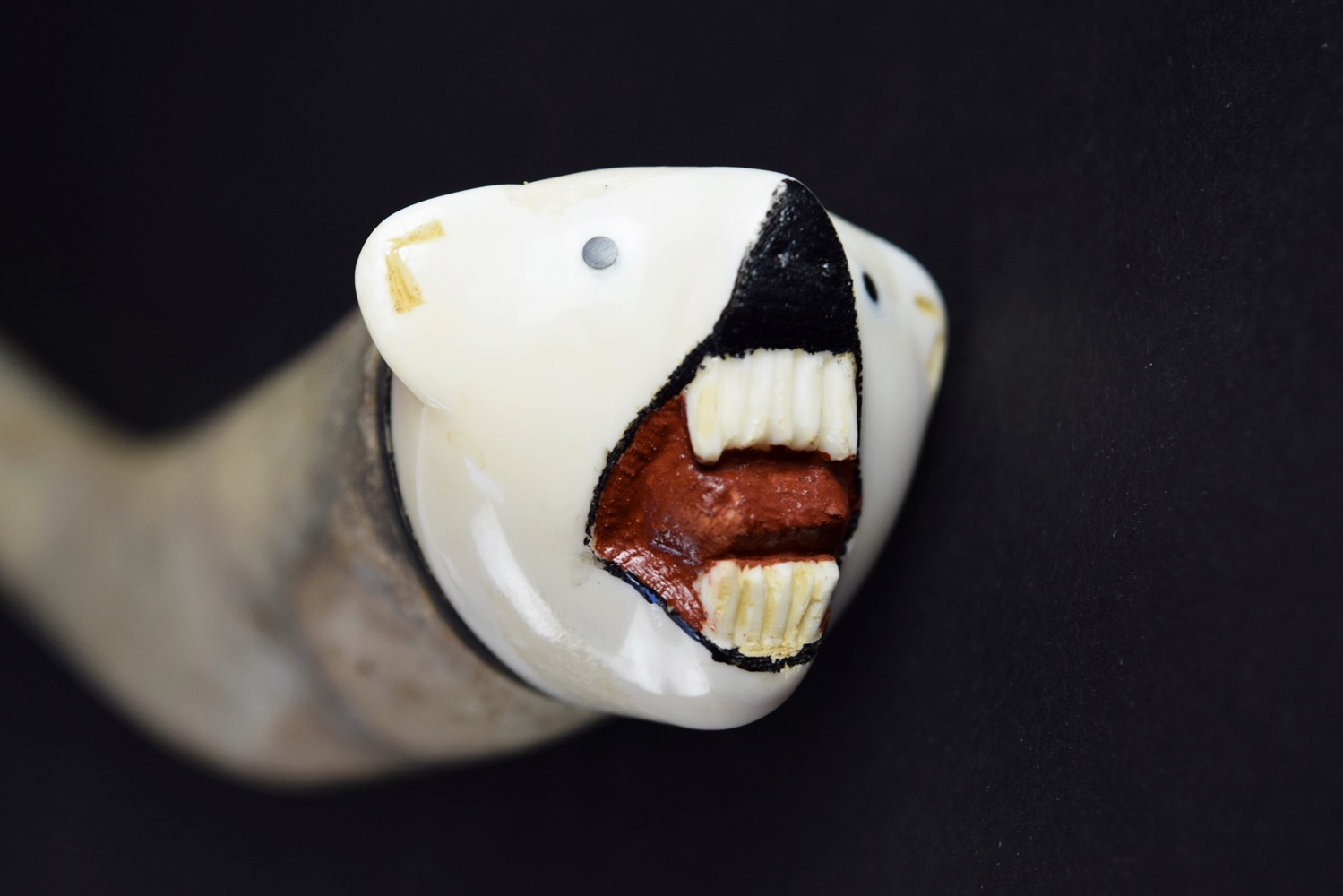 Fossilized Walrus Oosik with Carved Caps