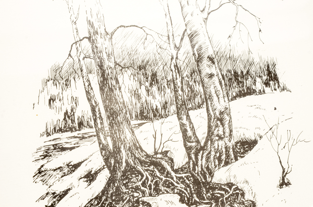 Print After Pen and Ink Illustration by Wallace K. Lawson