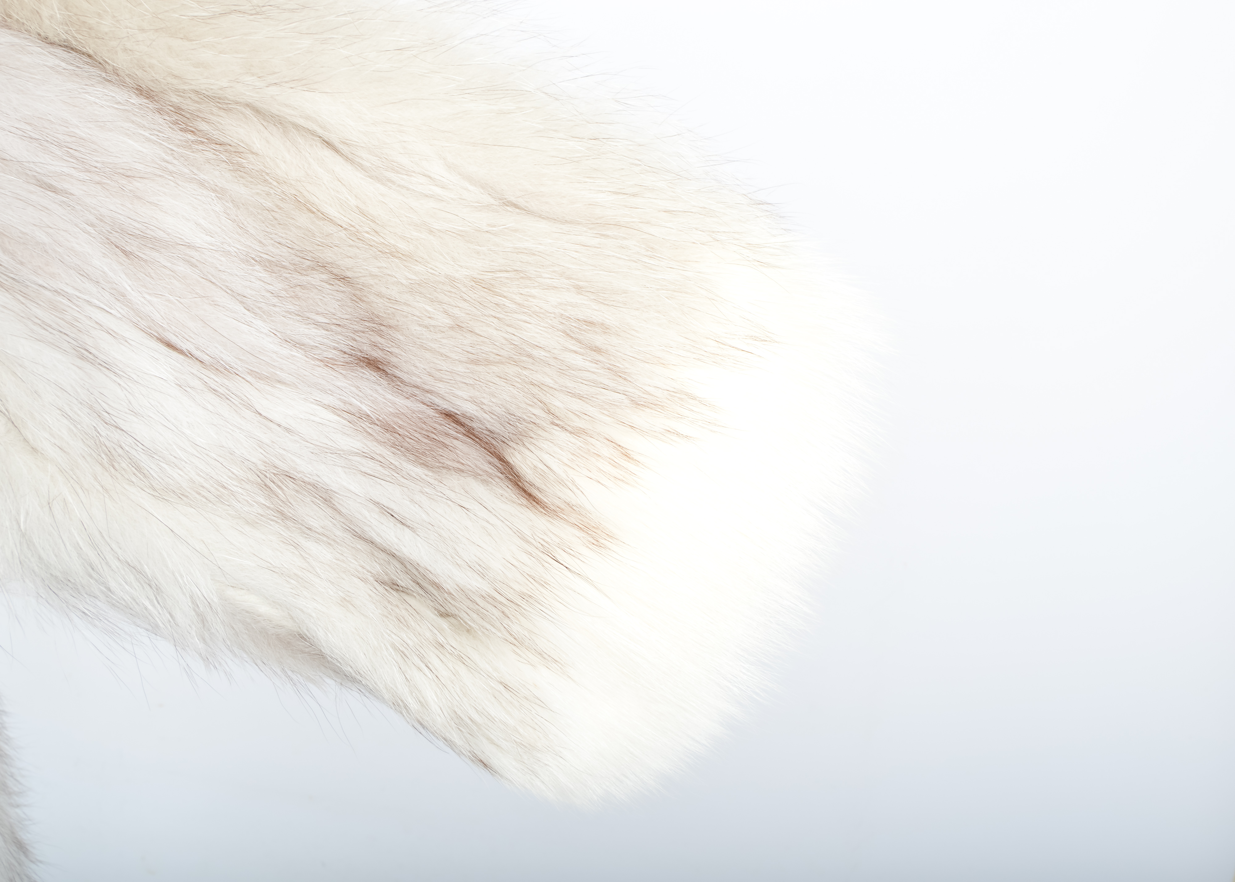 Saga Fox Fur Coat