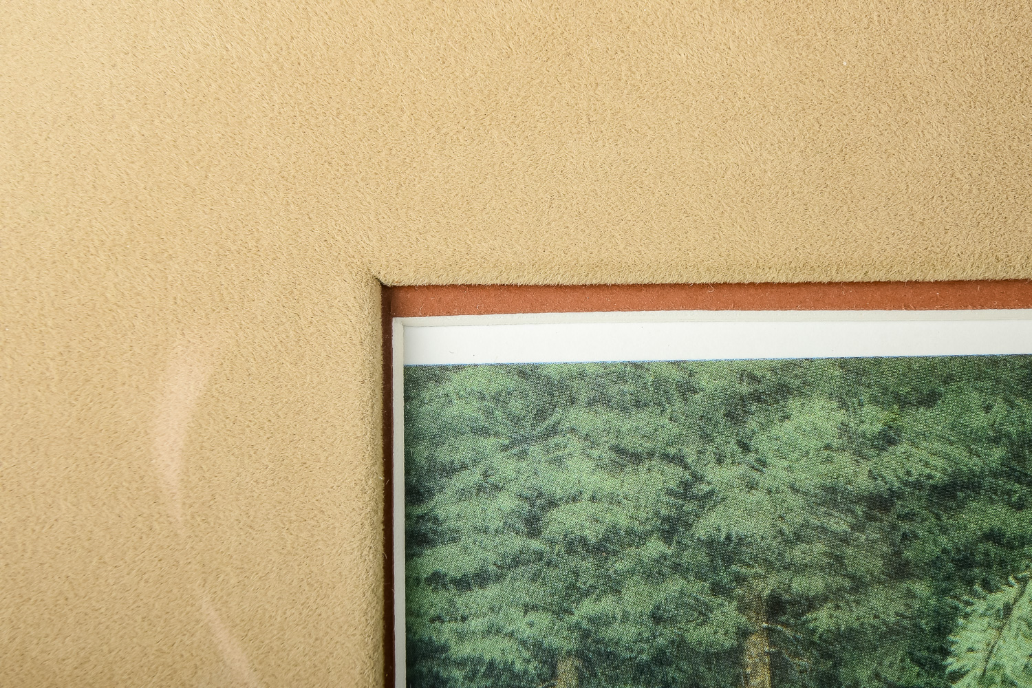 Bev Doolittle "The Forest Has Eyes" Limited Edition Print